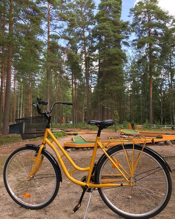 Лоджи Koskenselkä Camping Пуумала-14